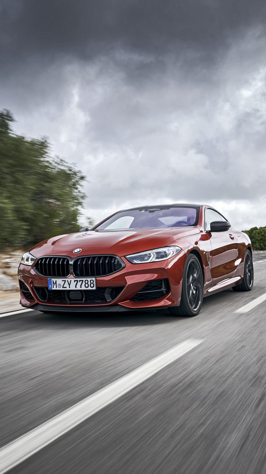  BMW M850i xDrive Carbon Package (G15) 2018 года  (WW) (фото 234 из 287)